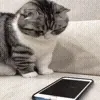 📱