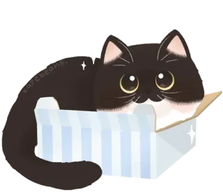 🐾 karebeans. 猫, 箱, かわいい, 動物, ステッカー telegram sticker