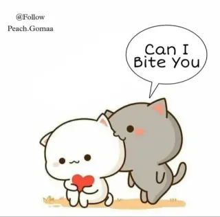 ☺️ Can I Bite You cat, bite, cute, animals, sticker, cartoon, heart whatsapp sticker