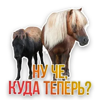 Недомашние животные :: @kgh_moscow telegram stickers