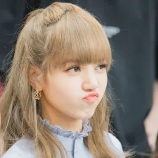 🐬 Lisa Lisa, K-Pop, Blackpink, chanteuse, femme, portrait telegram sticker