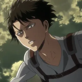 ☁️ Levi Ackerman Attack on Titan anime, character, Levi, Attack on Titan, manga telegram sticker