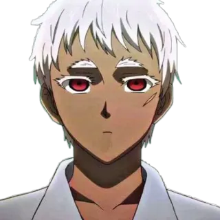 🦔 anime, character, red eyes, white hair whatsapp sticker