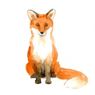 🦊 狐狸, 动物, 水彩, 可爱, 野生动物, 自然 telegram sticker