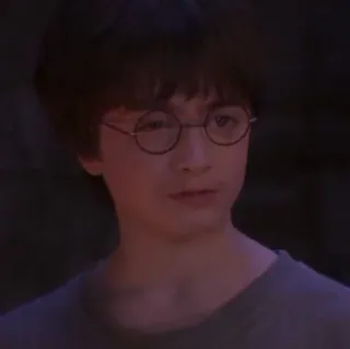 🦁 Harry Potter Harry Potter, Daniel Radcliffe, mago, magia, fantasía, película whatsapp sticker