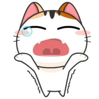 😢 猫, 泣く, 漫画, 動物, 悲しい telegram sticker