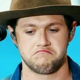 🍕 Niall Horan Найл Хоран, грустный, знаменитость, певец, One Direction, шляпа telegram sticker