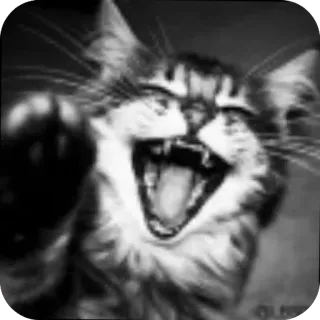 🐱 whatsapp sticker