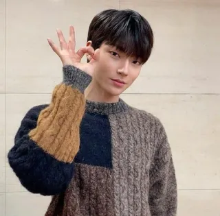 😎 person, man, sweater, ok gesture, korean telegram sticker
