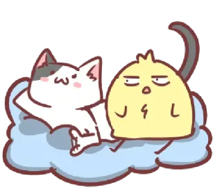 🤨 kucing, burung, awan, lucu, hewan, stiker whatsapp sticker