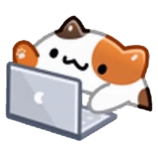 👨💻