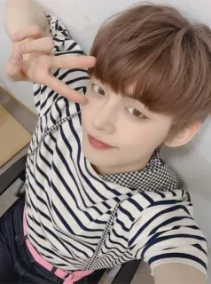 ✌️ persona, kpop, celebrità, uomo, interno, giovane telegram sticker