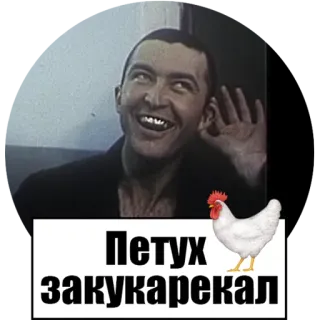 🐓 Петух закукарекал ruso, gallo, ofensivo whatsapp sticker