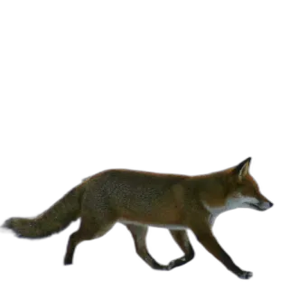 FopsButNoBackground telegram stickers