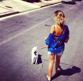 🚶‍♀ woman, dog, walking, street, back view, pet telegram sticker