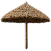🥥