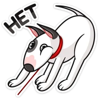🙅‍♂️ HET chien, bull terrier, non, russe, hétéro whatsapp sticker