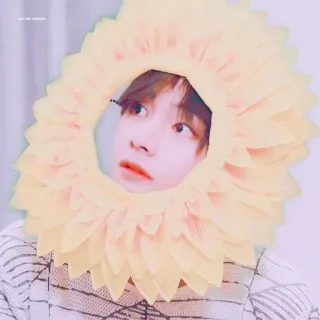 🌻 telegram sticker