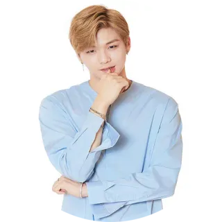 🤔 kpop, penyanyi, potret, pria, orang whatsapp sticker