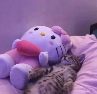 👏 Hello Kitty hello kitty, kucing, boneka, tidur, lucu, kawaii, anak kucing whatsapp sticker