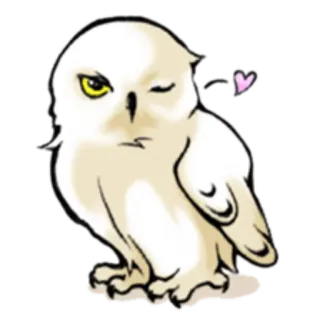 😉 owl, cute, cartoon, sticker, bird, animal telegram sticker