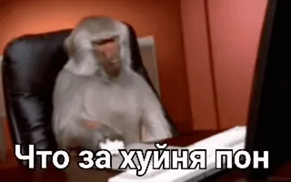 😡 Что за хуйня пон ลิง, คอมพิวเตอร์, สำนักงาน, พิมพ์, รัสเซีย telegram sticker