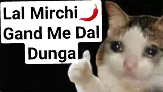 🤔 Lal Mirchi
Gand Me Dal
Dunga kot, obraźliwe, niegrzeczne, mem, zwierzę telegram sticker