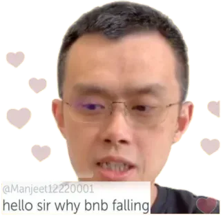🔻 hello sir why bnb falling mann, frage, währung, krypto, finanzen telegram sticker
