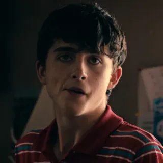 😕 Timothée Chalamet актер, портрет, знаменитость, молодой, мужчина whatsapp sticker