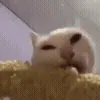🧐