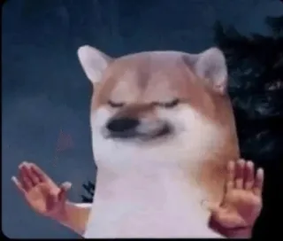 🌟 Cheems Doge meme whatsapp sticker