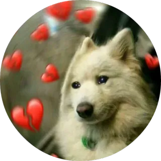 💔 dog, sad, broken heart, animal, puppy, love telegram sticker