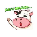👋 HAI !! MBLOOO... whatsapp sticker