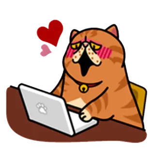 ☺️ кот, ноутбук, любовь, компьютер, интернет, милый, животное whatsapp sticker