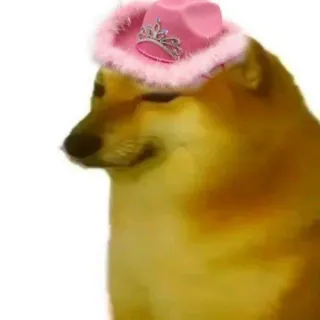 🐕 cheems doge, dog, meme, animal, cheems, cowboy hat, pink hat telegram sticker