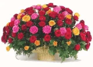 🌺 flores, rosas, ramo, floral, cesta, rojo, rosa, amarillo telegram sticker