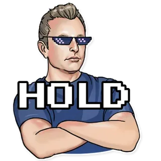 💪 HOLD tenir, mème, bourse, trading, crypto, investissement telegram sticker