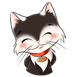 😊 MEOW GALLERY chat, chaton, mignon, miaou, galerie, animal, animal de compagnie, kawaii whatsapp sticker