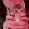 🥳
