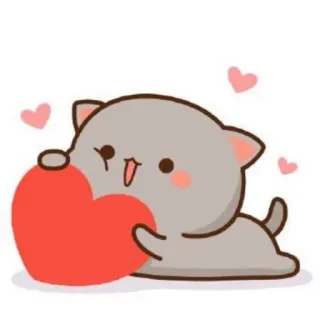 🐱 chat, cœur, amour, animal, mignon, kawaii telegram sticker