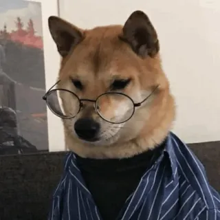🐕 perro, shiba inu, gafas, negocios, lindo, mascota, animal whatsapp sticker