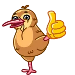 👍 Киви (птица), Птица, Большой палец вверх, Милый, Животное, Позитив whatsapp sticker