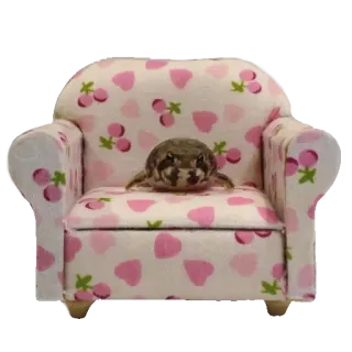 ❤️ rã, animal, cadeira, miniatura, rosa, fofo, anfíbio whatsapp sticker