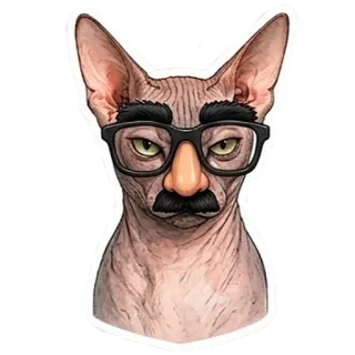 🥸 Sphynx cat telegram sticker