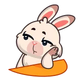 😕 coniglio, carino, adesivo, cartone animato, animale telegram sticker