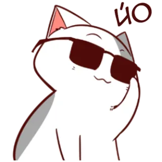 👋 ЙО gato, gafas de sol, guay, ruso, yo telegram sticker
