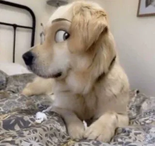 🤥 perro, dibujos animados, gracioso, mascota, animal, golden retriever telegram sticker