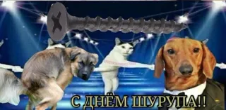 🔩 С ДНЁМ ШУРУПА!! dogs, cat, screw, russian, funny, animal, celebration telegram sticker