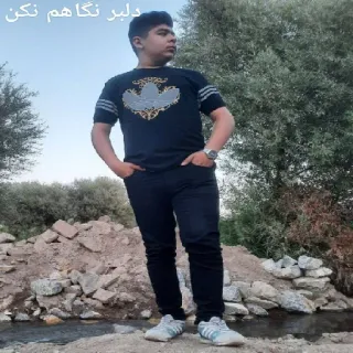⭐️ دلبر نگاهم نکن telegram sticker