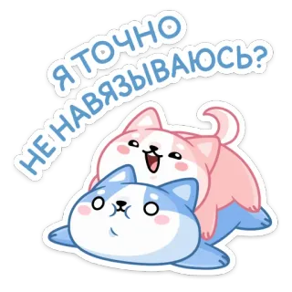 ❓ Я ТОЧНО
НЕ НАВЯЗЫВАЮСЬ? собака, милый, сиба-ину, каваий, стикер, вопрос, смешной telegram sticker